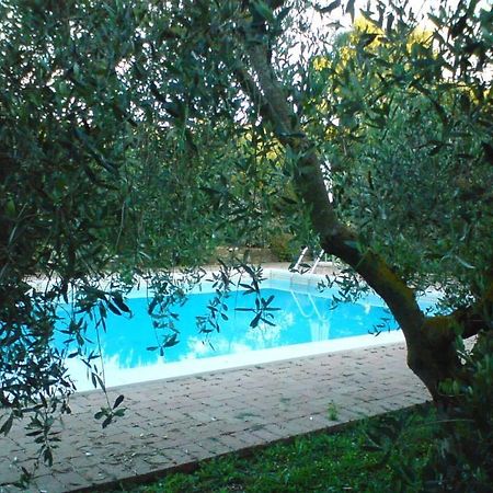 הוילה Campagnatico Tenuta Santa Maria מראה חיצוני תמונה