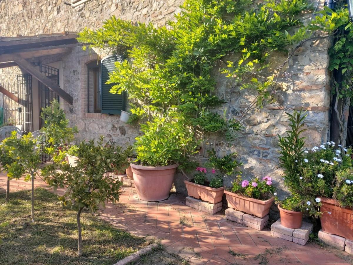 הוילה Campagnatico Tenuta Santa Maria מראה חיצוני תמונה