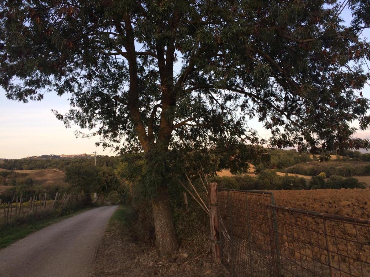 הוילה Campagnatico Tenuta Santa Maria מראה חיצוני תמונה
