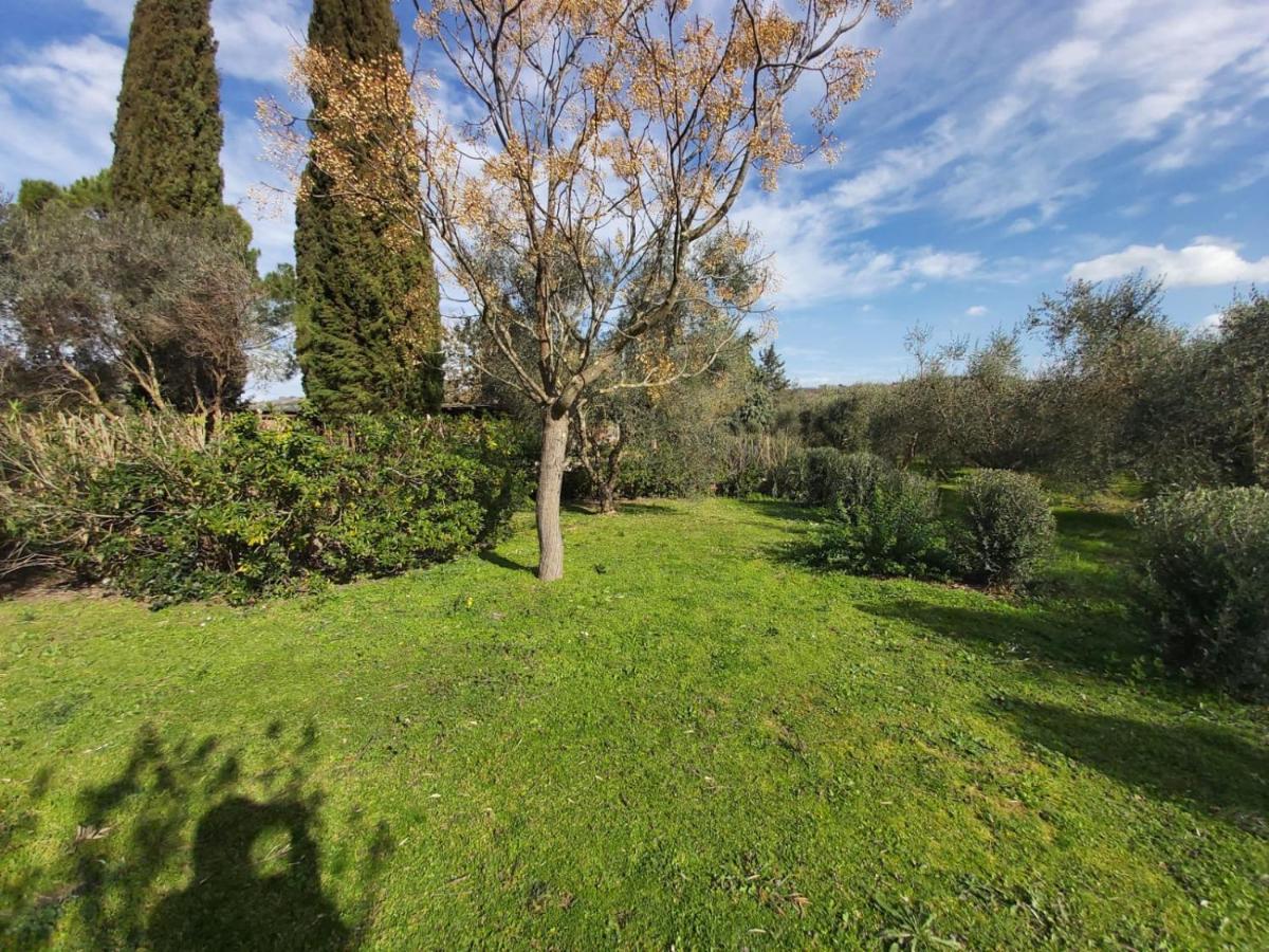 הוילה Campagnatico Tenuta Santa Maria מראה חיצוני תמונה