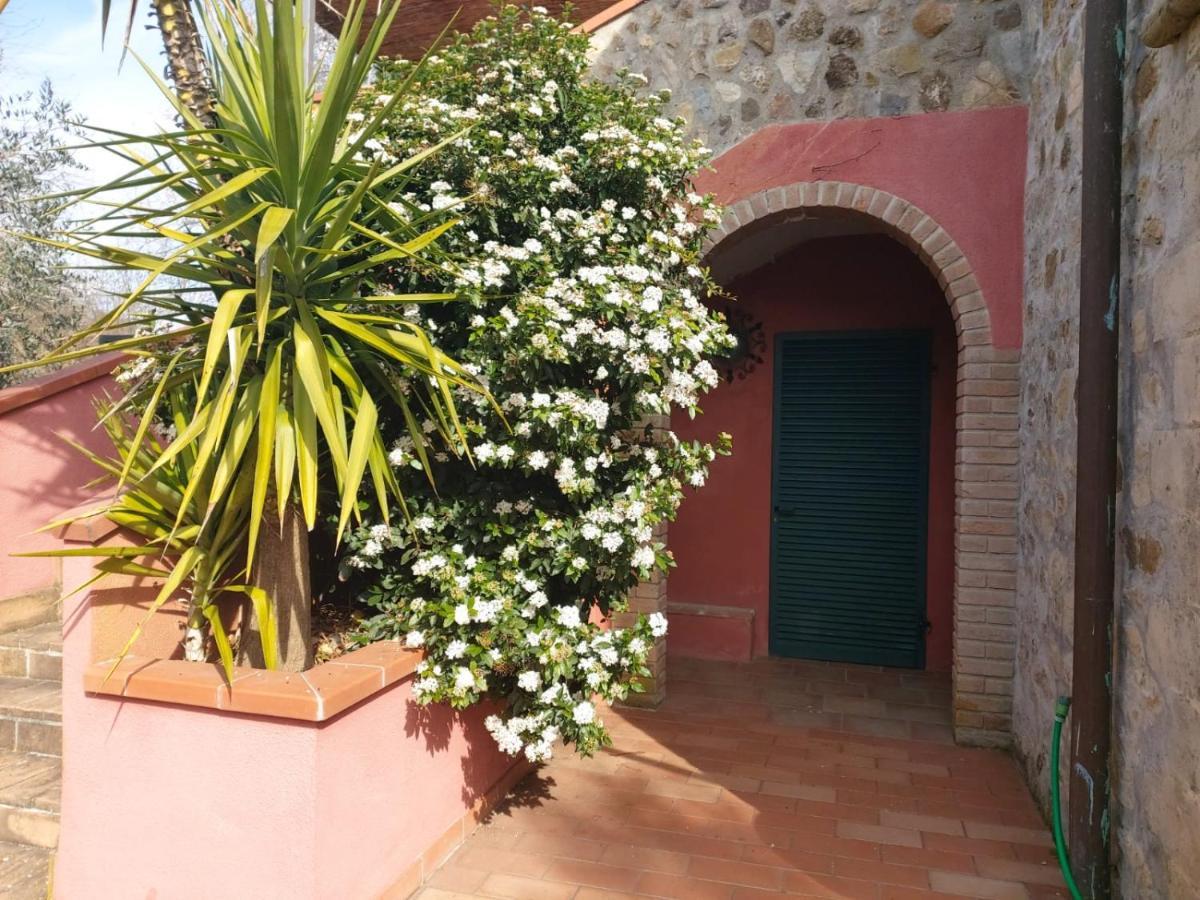 הוילה Campagnatico Tenuta Santa Maria מראה חיצוני תמונה