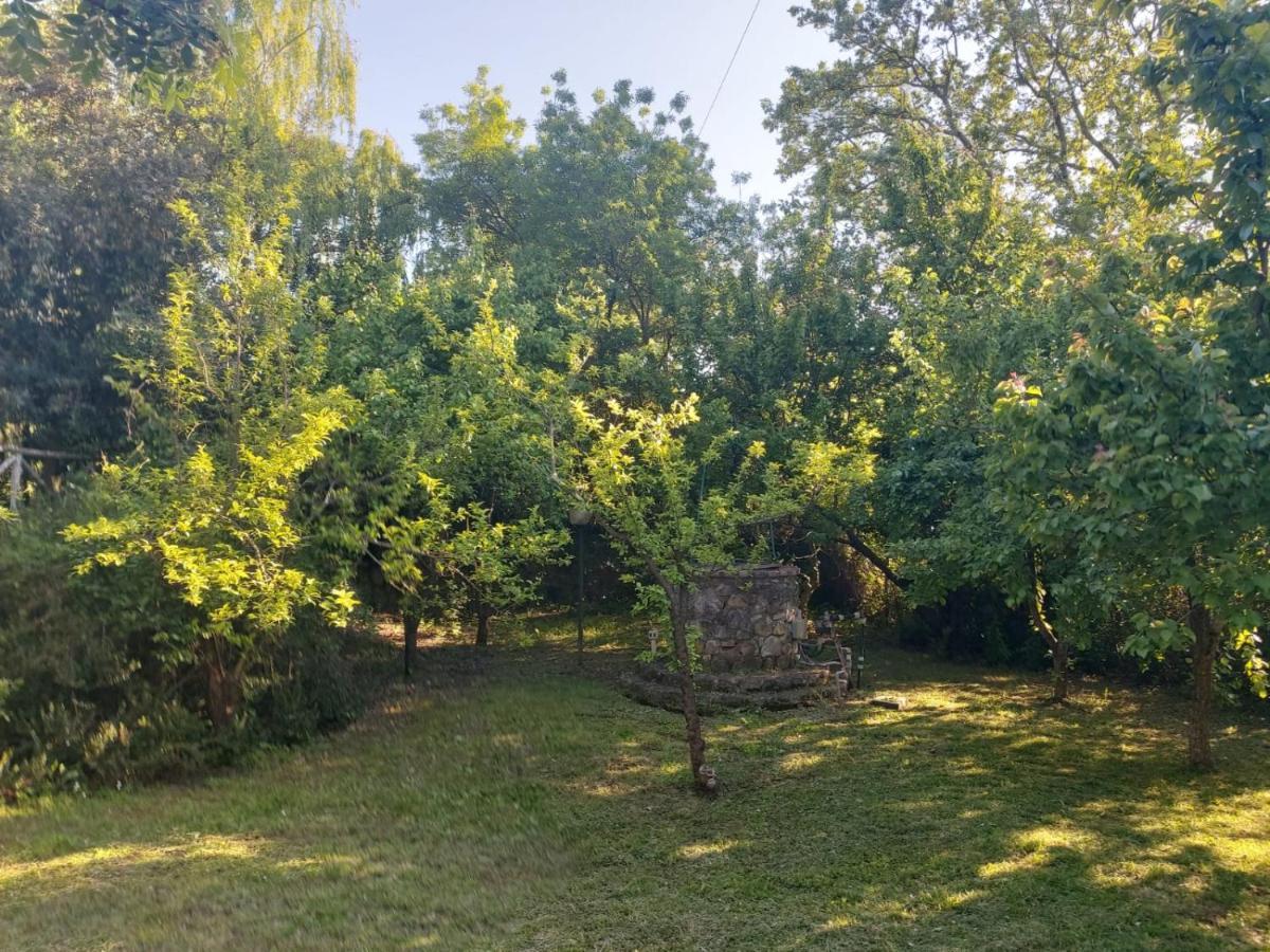 הוילה Campagnatico Tenuta Santa Maria מראה חיצוני תמונה