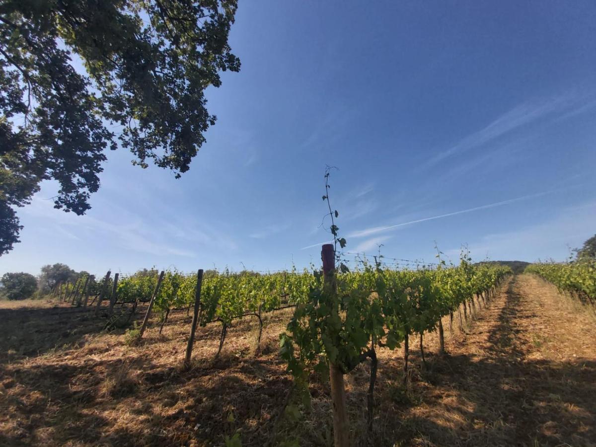 הוילה Campagnatico Tenuta Santa Maria מראה חיצוני תמונה