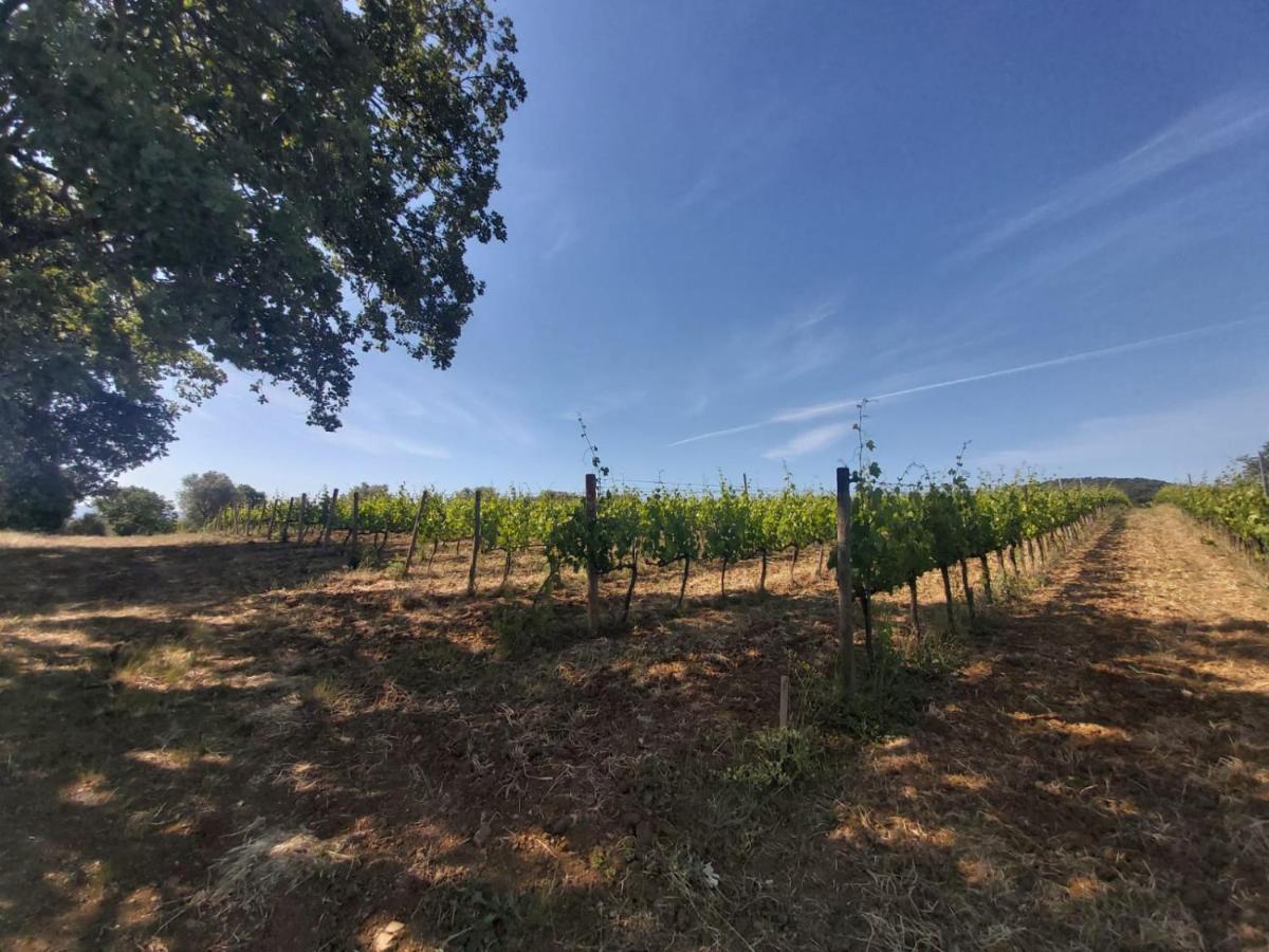 הוילה Campagnatico Tenuta Santa Maria מראה חיצוני תמונה