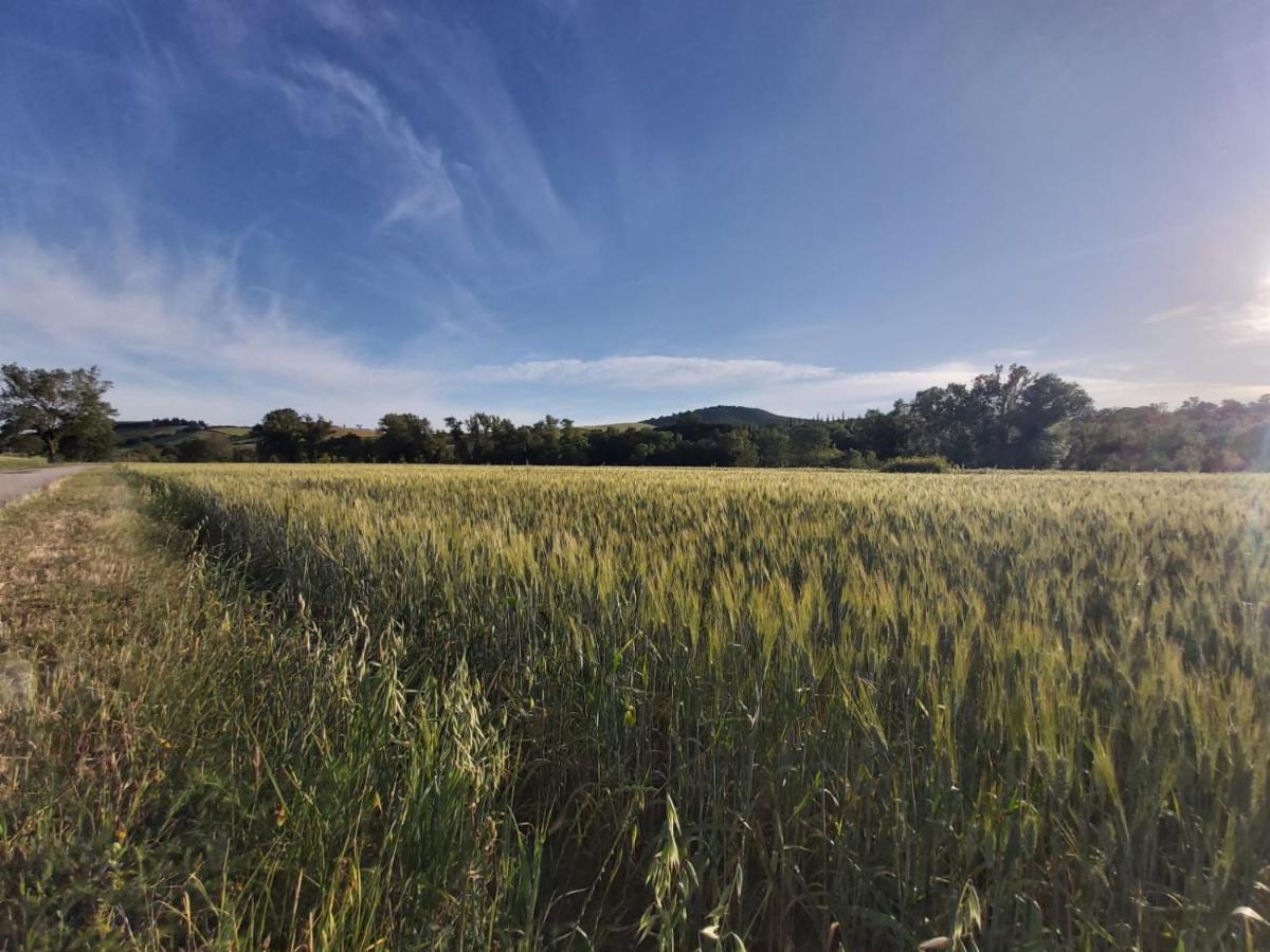 הוילה Campagnatico Tenuta Santa Maria מראה חיצוני תמונה